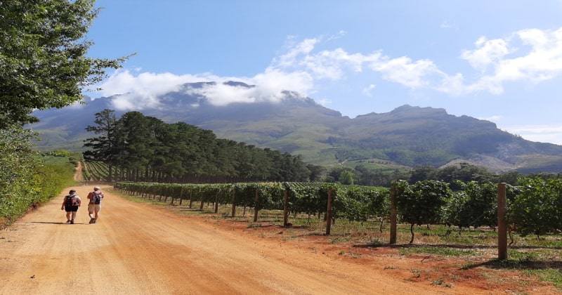 Winelands Guide - Personalized Tours For Individuals & Groups